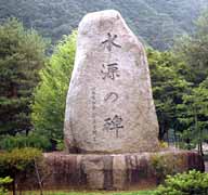 �����̔�̎ʐ^