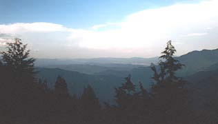 �W�]�䂩��̒��]�ʐ^