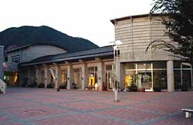 �q�̓��̎ʐ^