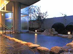 �I�V���C�̎ʐ^