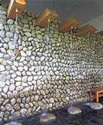 �ł������̎ʐ^