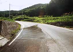 �⓹��k�鐅�̎ʐ^