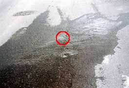 �N�����̏o�Ă���̎ʐ^