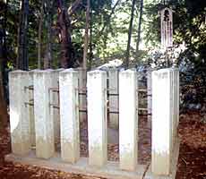 �v�΂̊O�ώʐ^