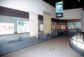 �L�O�ق̓����ʐ^