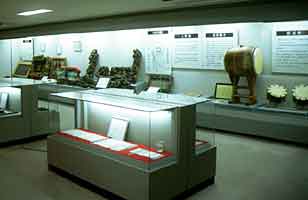 �W���̗l�q�ʐ^