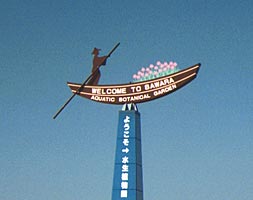 �ē��Ŕ̎ʐ^