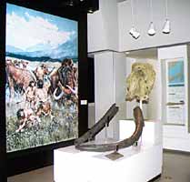 �i�E�}���ۂ̍��̎ʐ^