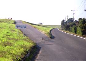 ���܃|�C���g�̎ʐ^�Q