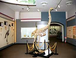 �ő�̒��u���A�v�̎ʐ^