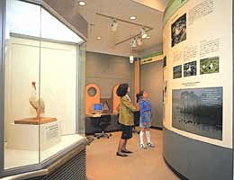 �W���̗l�q�̎ʐ^