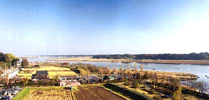 �W�]�����猩�������̎ʐ^