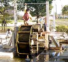 ���̍L��ŗV�Ԏq���B�̎ʐ^�P