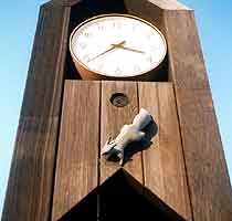 �E�T�M�̃I�u�W�F�̎ʐ^�Q