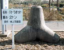 �e�g���|�b�g�̎ʐ^