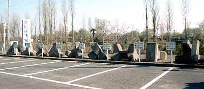 �g�����u���b�N�̎ʐ^