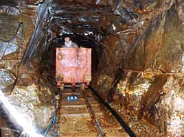 ���R�����̎ʐ^