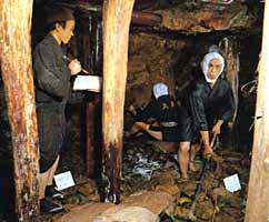 �]�ˎ���̍̌@�̎ʐ^