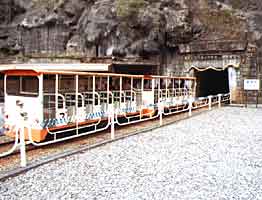 �ό��p�g���b�R�d�Ԃ̎ʐ^