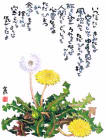 ����ۂۂ̎ʐ^