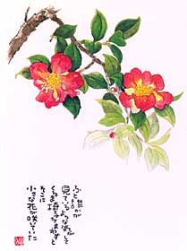 �R���Ԃ̎ʐ^