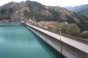 ���،Α��̃_���̎ʐ^