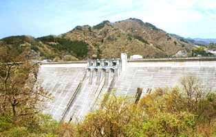 �������̃_���̎ʐ^