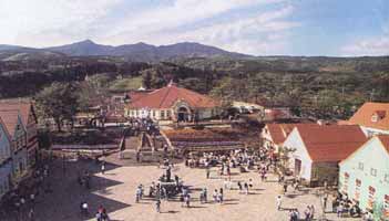 ���v�䂩�猩���X�̗l�q