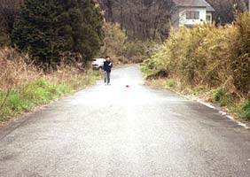 �����Q�̎ʐ^