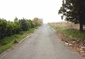 �������������ʐ^