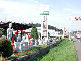 �������猩���̎ʐ^