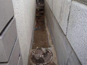 排水管隠れ汚水桝発見