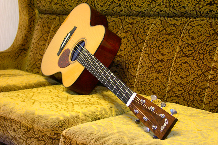 Collings OM-1A Top摜