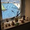 飾り棚
