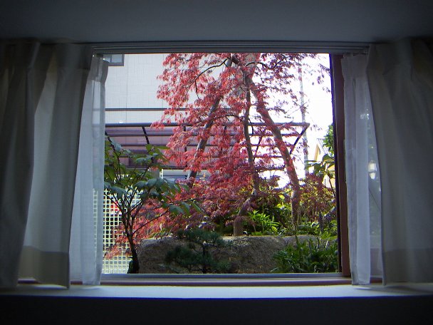 地下室からの庭の眺め