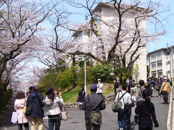 さくらさく千里山団地祭