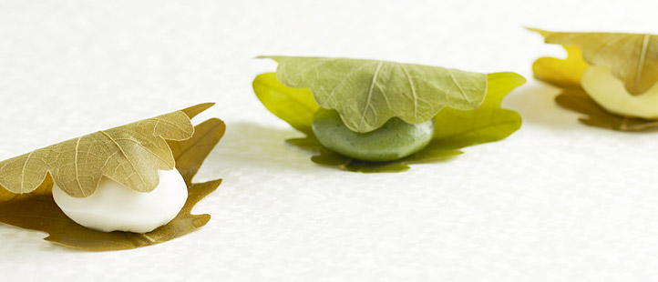 お米のうまみがしっかり活きた、あけぼの特製「かしわもち」。国内産生新粉と葛でもっちり歯切れよく仕上げました。