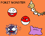 POCKET MONSTER