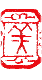 カット