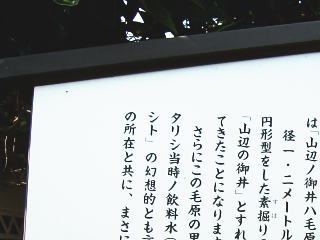 ��䗧�ŔP