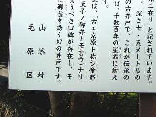 ��䗧�ŔP