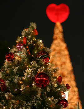 セントラルのクリスマスツリー