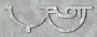 STAFF