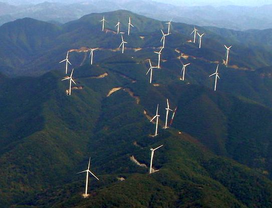 白滝山の惨状