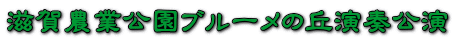 _ƌu[̋ut
