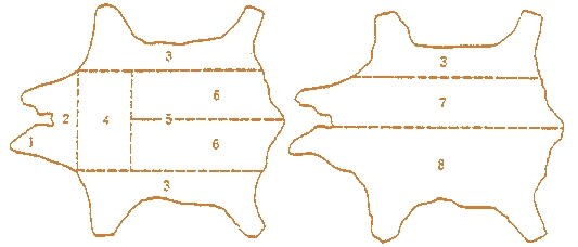 border