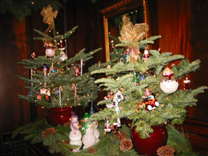 �r���������s������