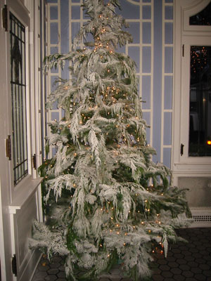 ��̃N���X�}�X�c���[