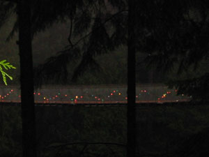 �T�X�y���V�����E�u���b�W