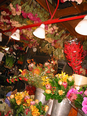 �h���C�t�����[